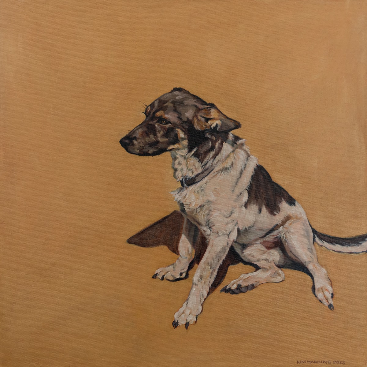 Into the Distance by Kim Harding  Image: "Into The Distance" Oil on Canvas 50 x 50cm