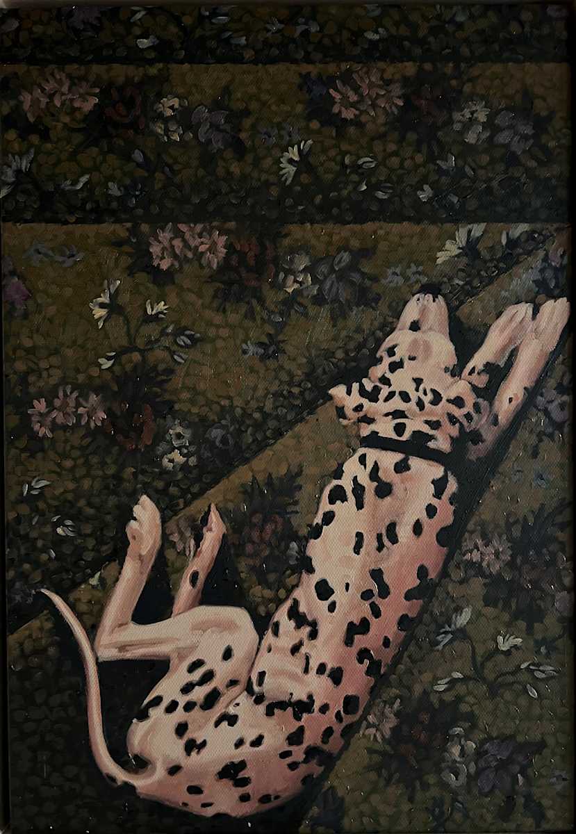 Lying Low by Kim Harding  Image: "Lying Low"  21 x 35cm Oil on Canvas