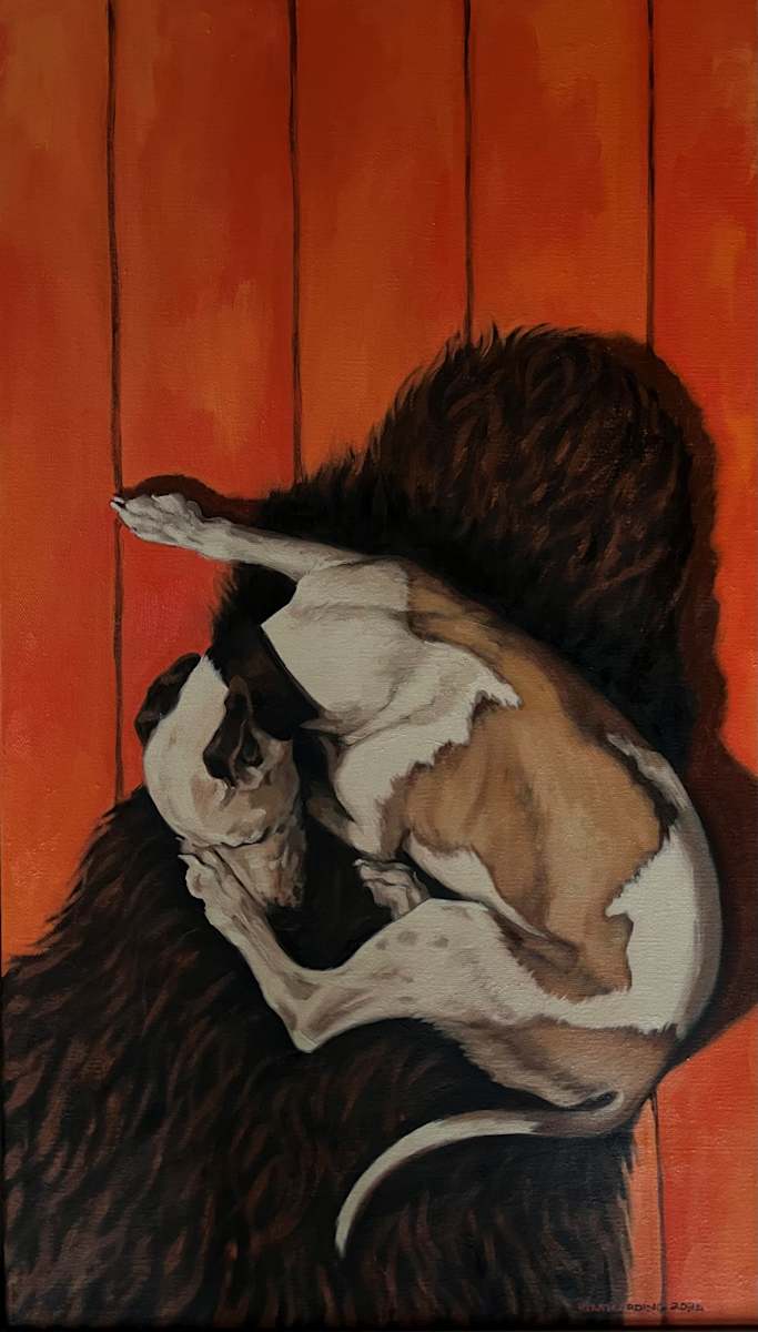 Shagpile by Kim Harding  Image: Shagpile