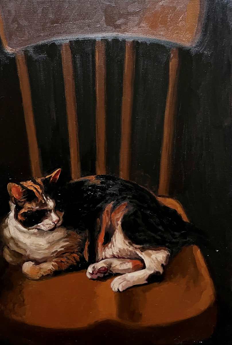 Tortoiseshell Cat by Kim Harding  Image: "Tortoiseshell Cat" 31 x 45cm Oil on canvas