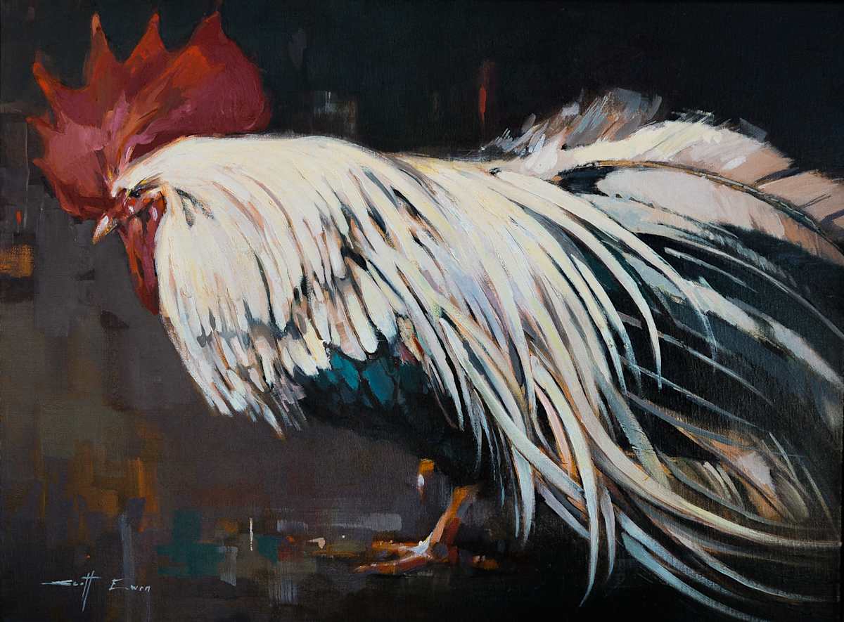 Rooster Study #2 by scott ewen, Image 4.