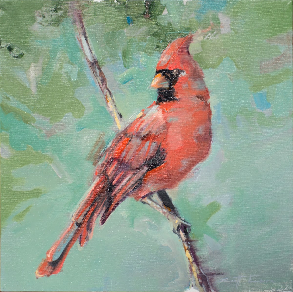 Jamie’s Cardinal 