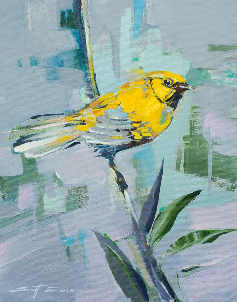 Yellow Bird by scott ewen, Image 11.