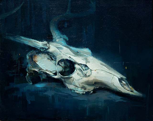 Deer Skull Study #2 by scott ewen, Image 1.