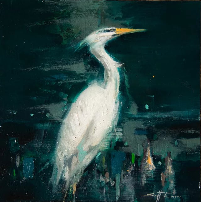 Egret in Cypress 