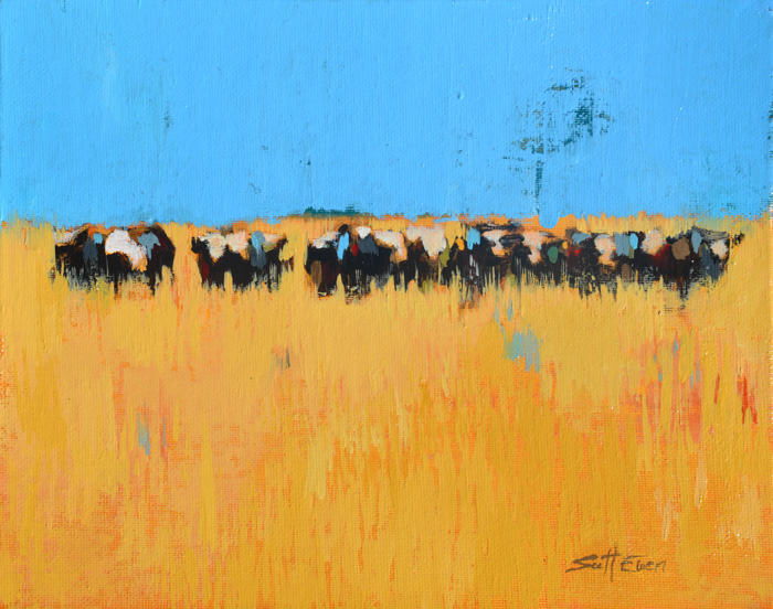 Sunny Field by scott ewen, Image 13.