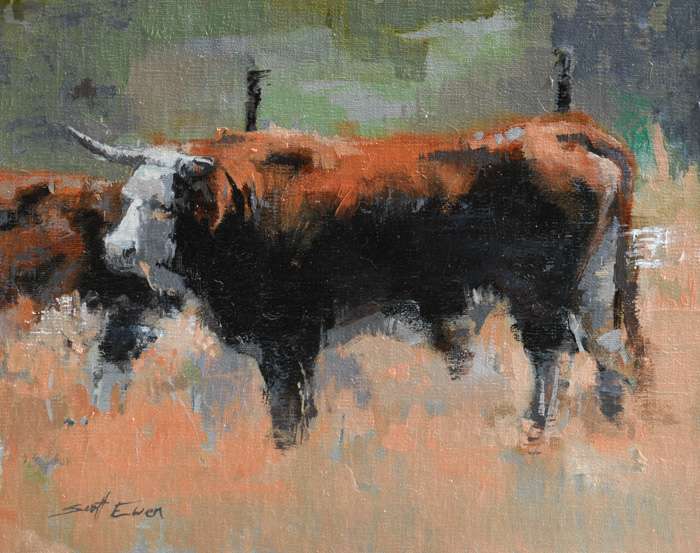 Plein Air Bull by scott ewen, Image 7.