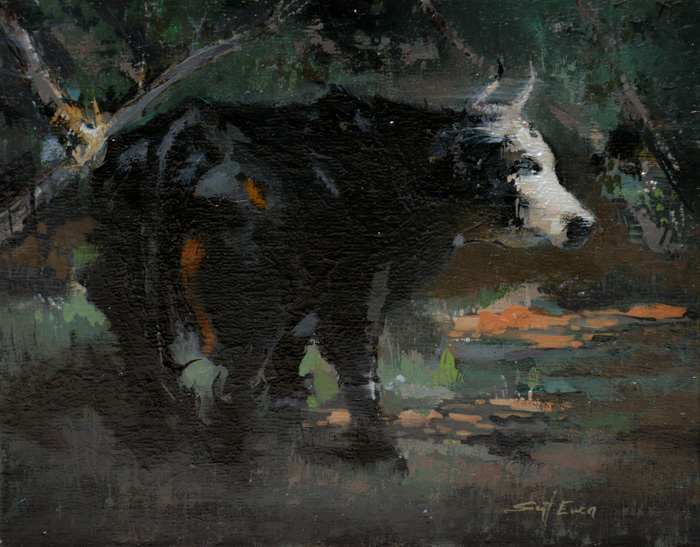 Cow Under Texas Tree by scott ewen, Image 6.