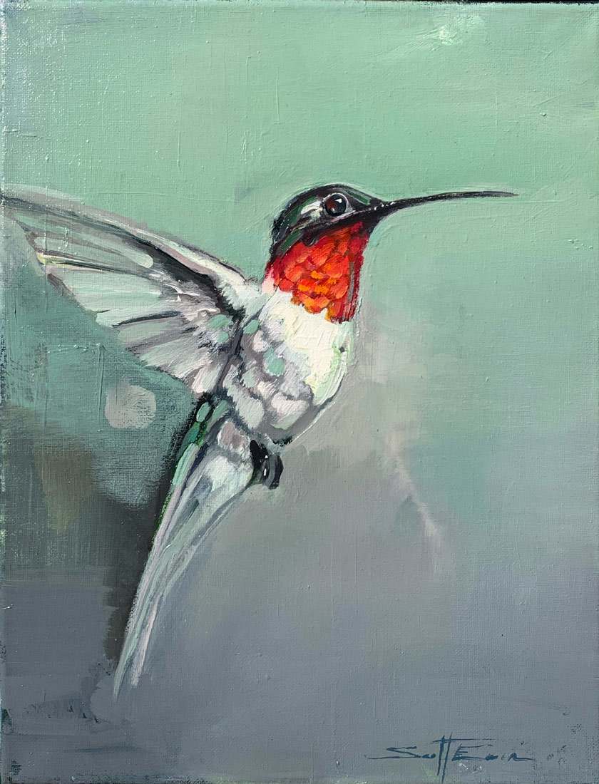 Red Hummingbird by scott ewen, Image 13.