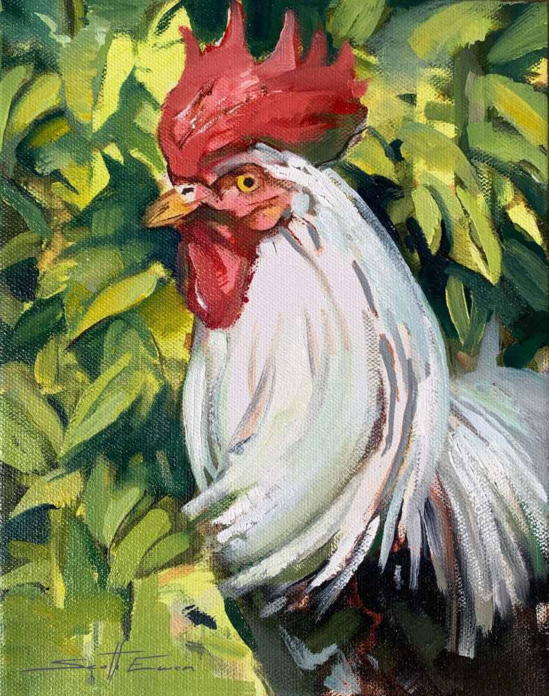 Rooster #3 by scott ewen, Image 4.