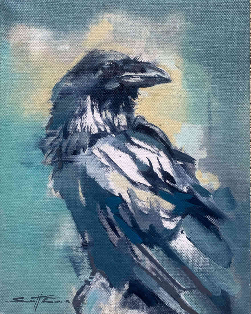 Winter Raven by scott ewen, Image 11.