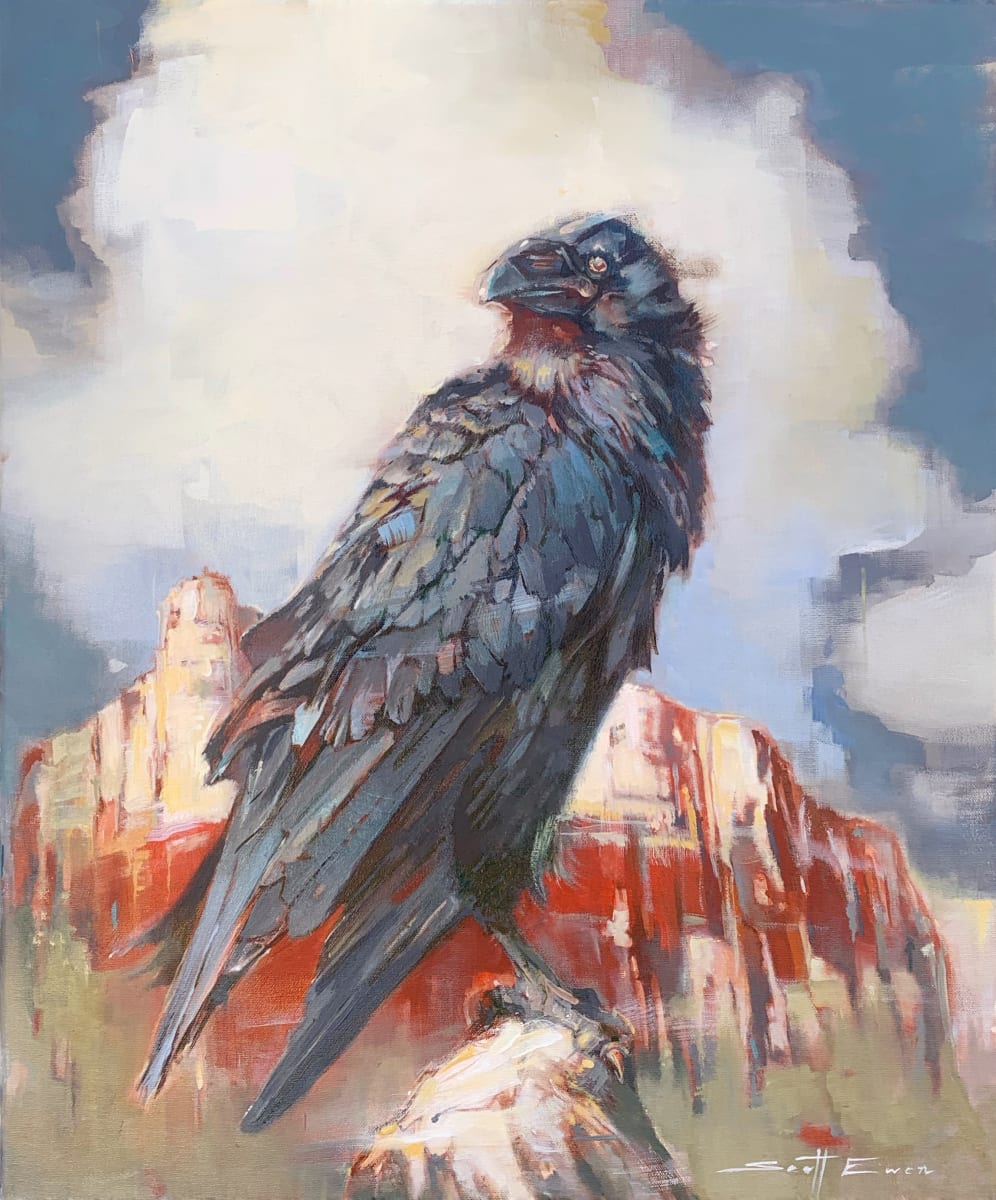 Red Rock Raven #2 by scott ewen 