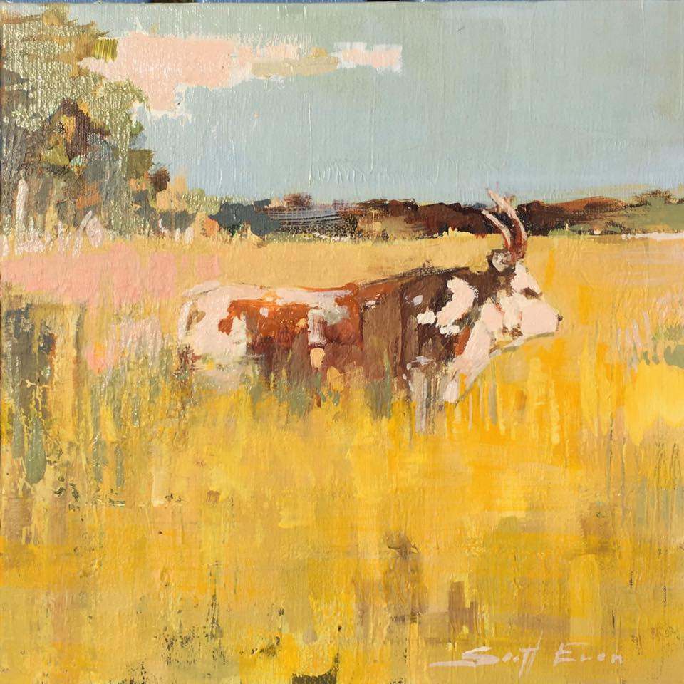 Longhorn in Field by scott ewen, Image 15.