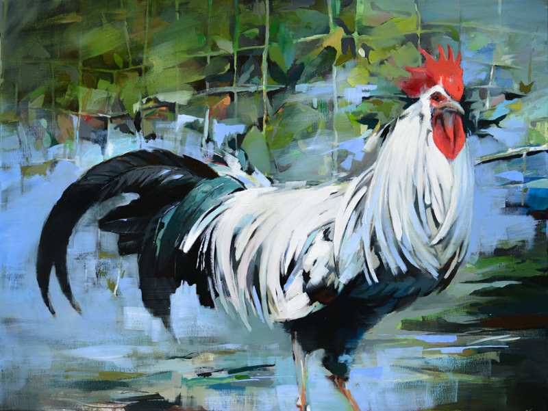 White Rooster by scott ewen, Image 6.