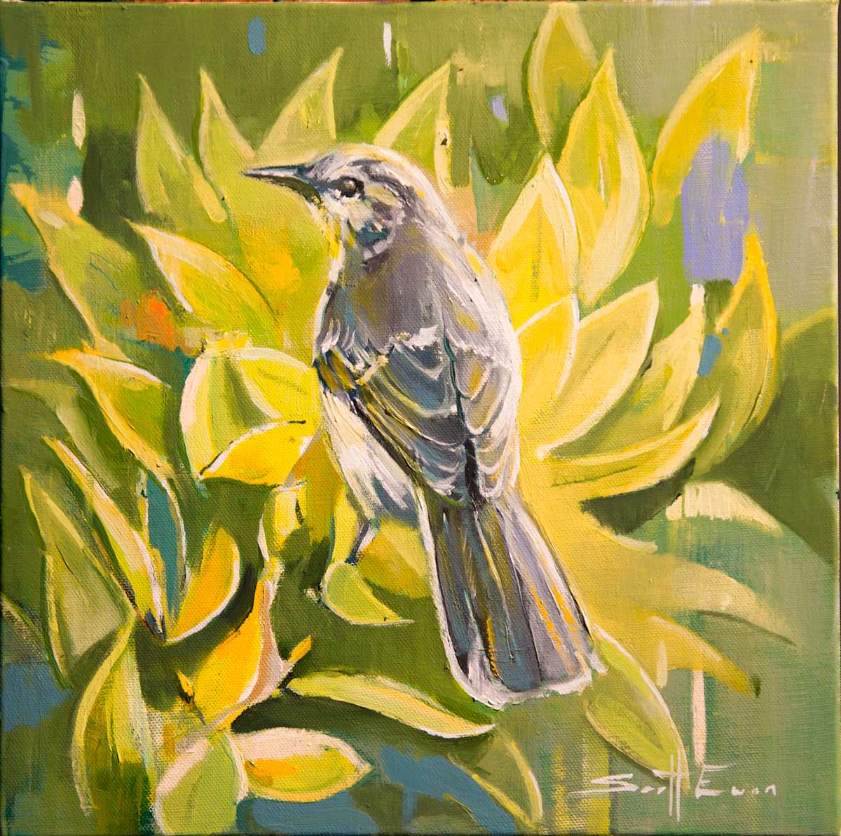 Mockingbird by scott ewen, Image 12.