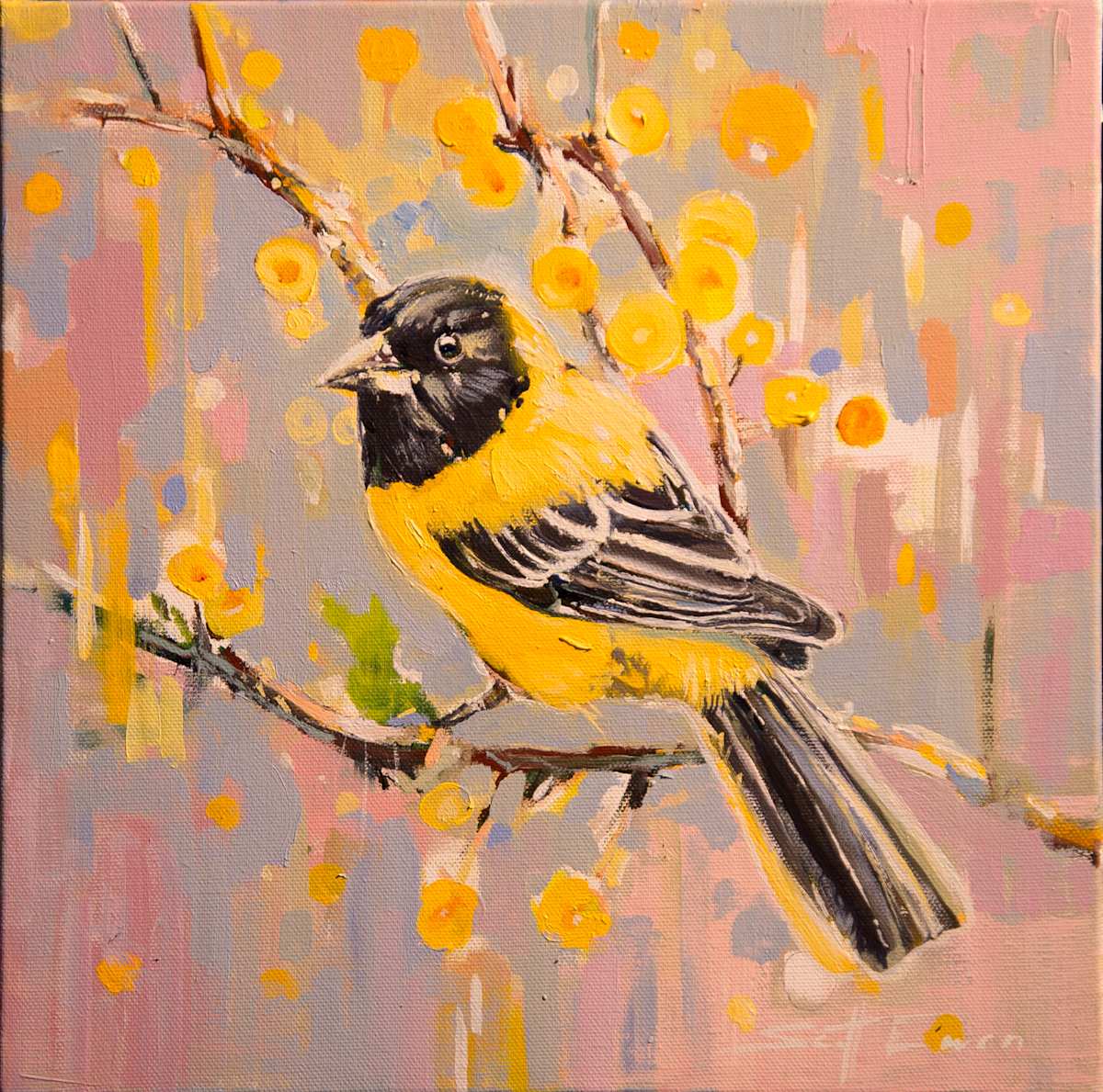Audubon's Oriole by scott ewen, Image 13.