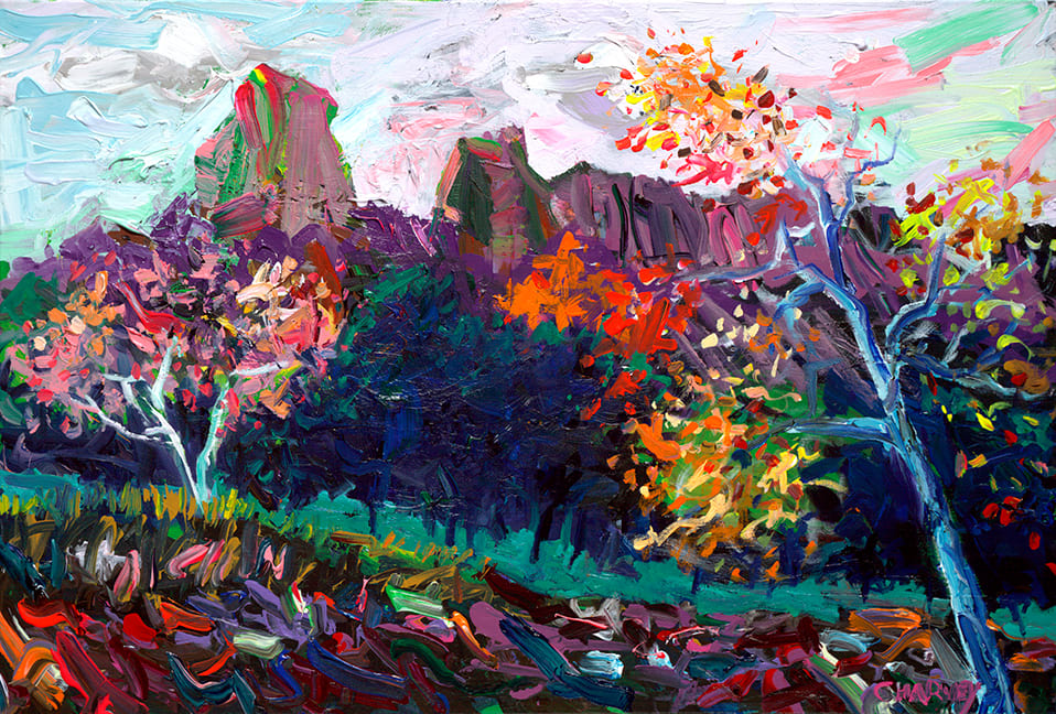 Fall at the Chiricahua Mountains by Christopher Harvey 