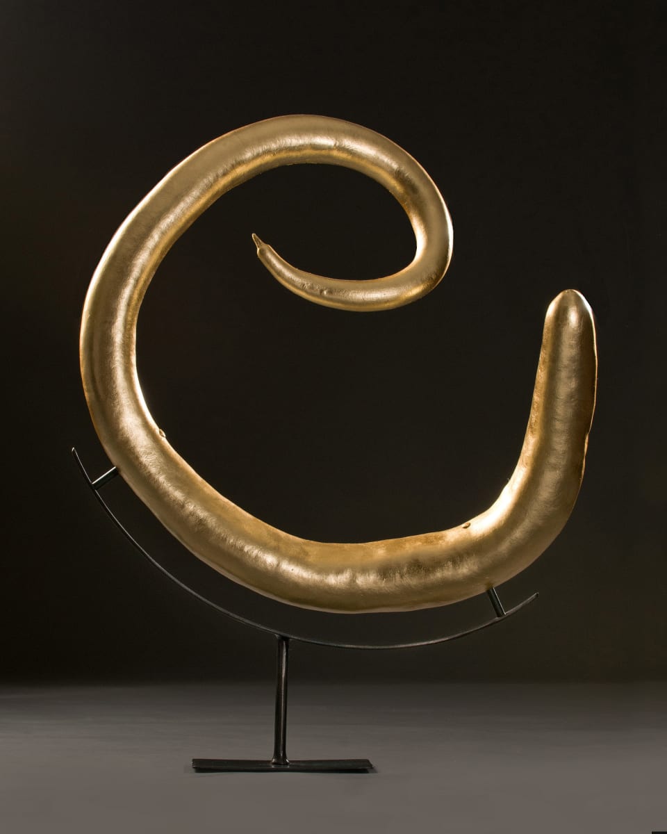 The Golden Spiral by Serena Kovalosky 