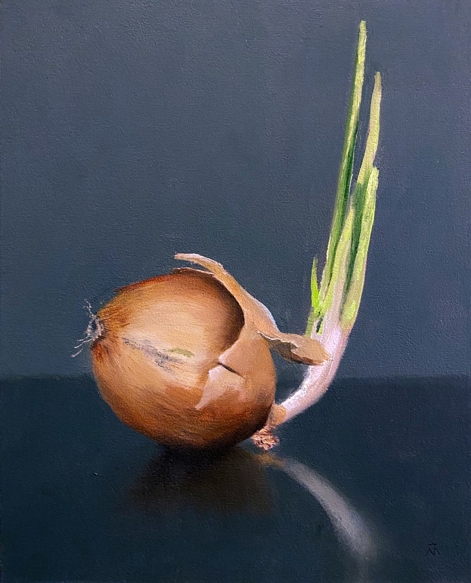 Onion in Spring by Mona Turner 