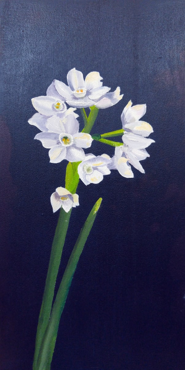 Paperwhite by Mona Turner 