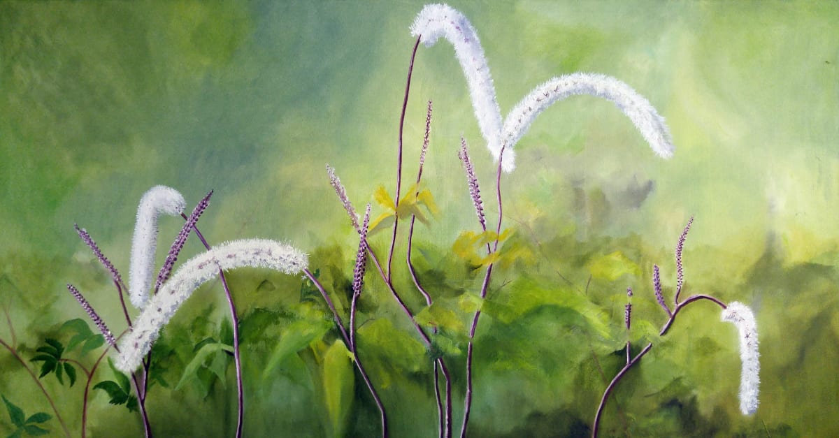 Cimicifuga by Mona Turner 