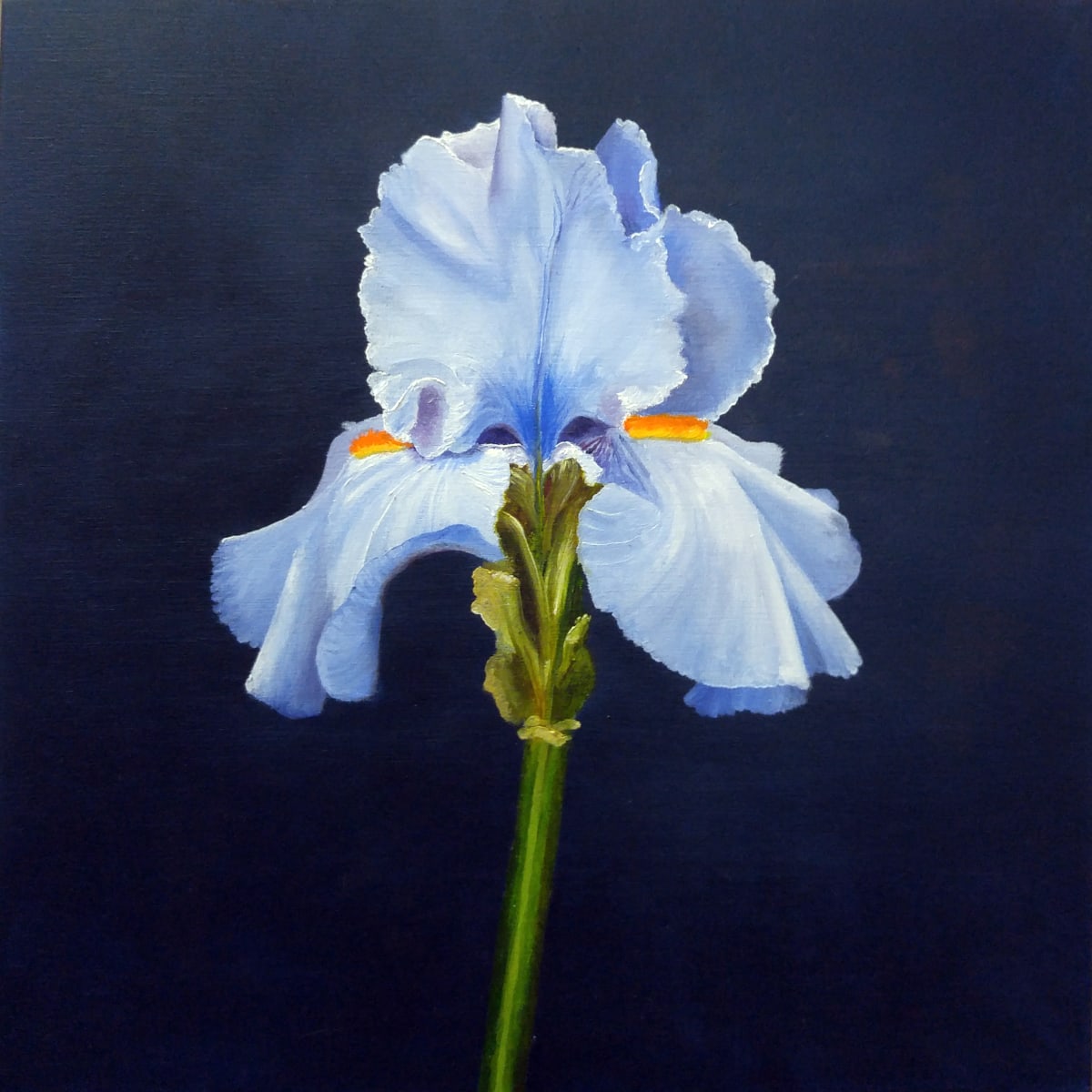 Blue Iris by Mona Turner 