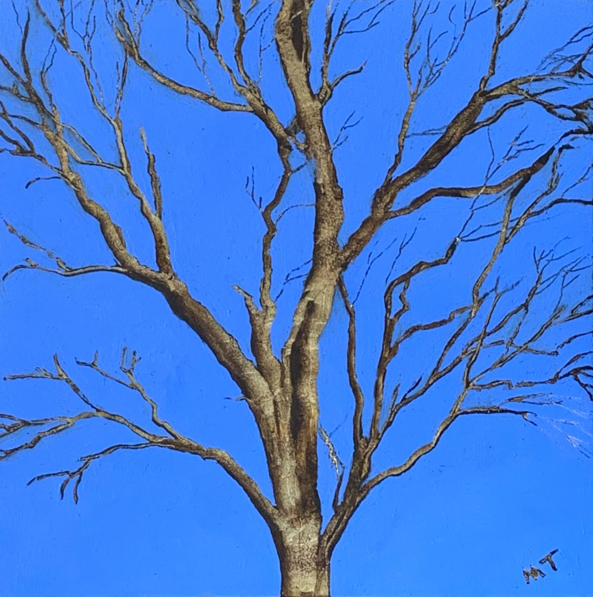 Tree#9 by Mona Turner 