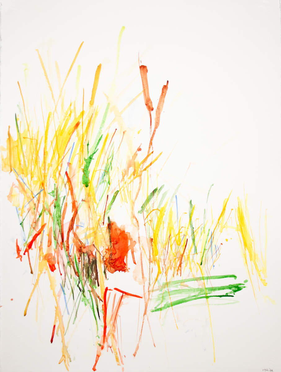 Autumn Grasses by Michael Rich  Image: Autumn Grasses, 2024, watercolor, 30 x 22 in