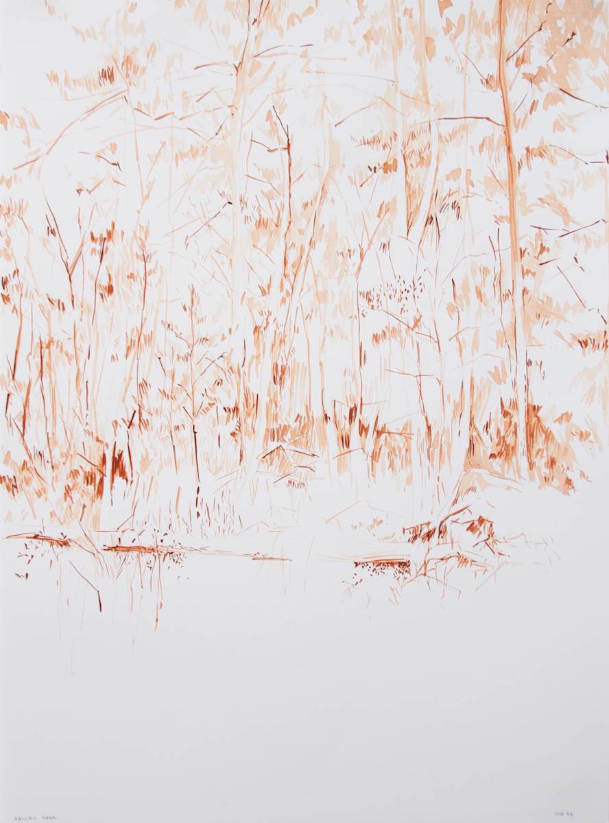 Fallen Tree by Michael Rich, Image 3.