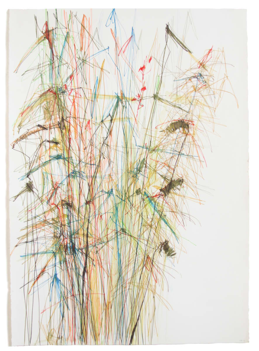 Reeds and Whispers by Michael Rich  Image: Reeds and Whispers, 2015, colored pencil, 39 x 28 in