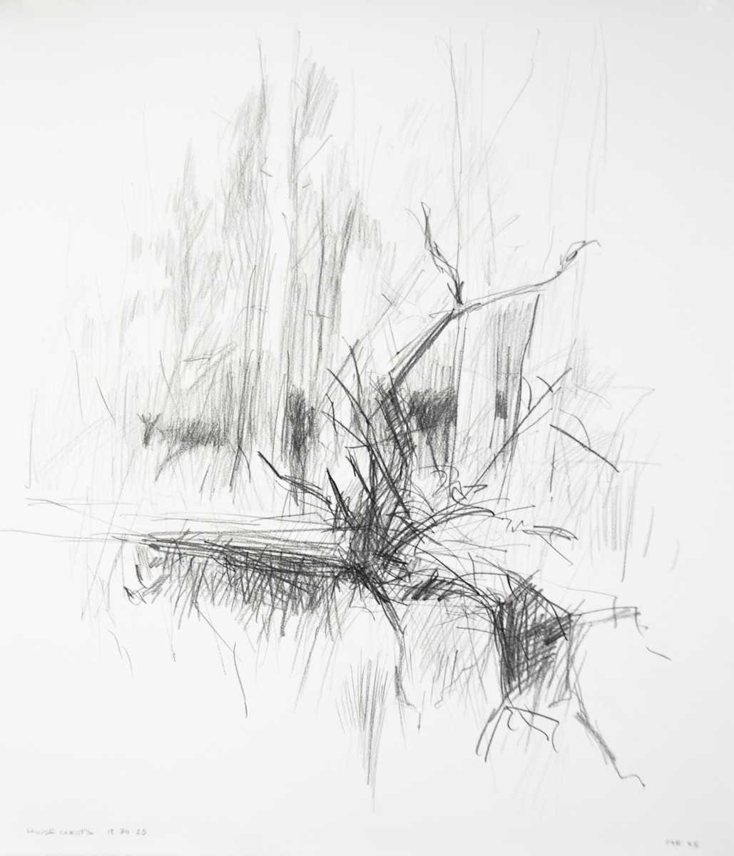 House Guests by Michael Rich, Image 1.
