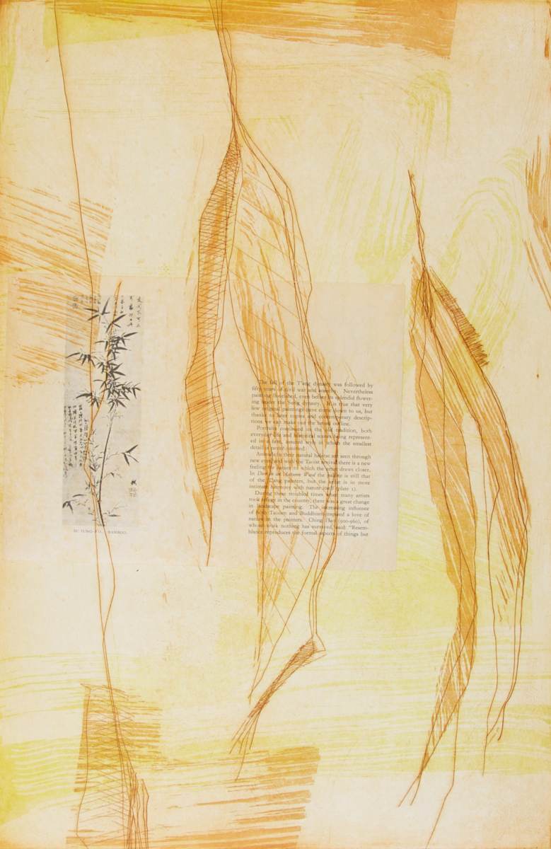 Little Histories VII by Michael Rich  Image: Little Histories, VII, 2015, intaglio monoprint, 18 x 12 in