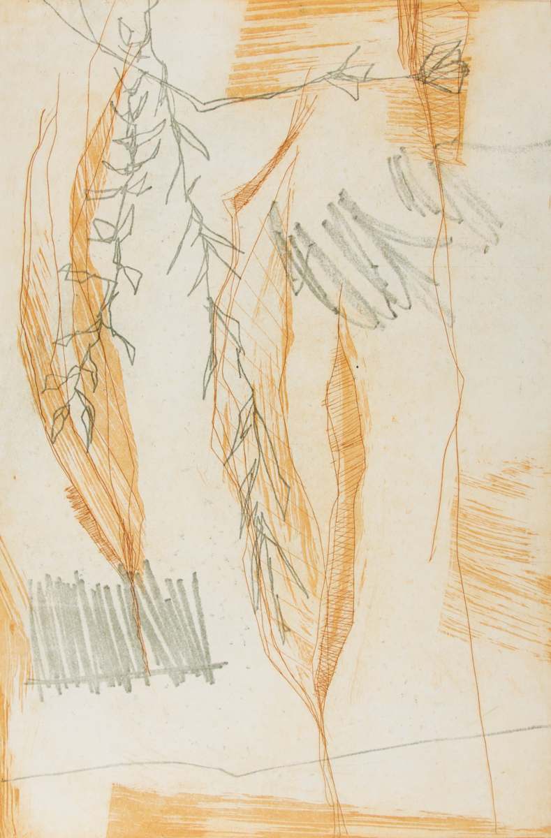 Little Histories VI by Michael Rich  Image: Little Histories VI, 2015, intaglio monoprint, 18 x 12 in