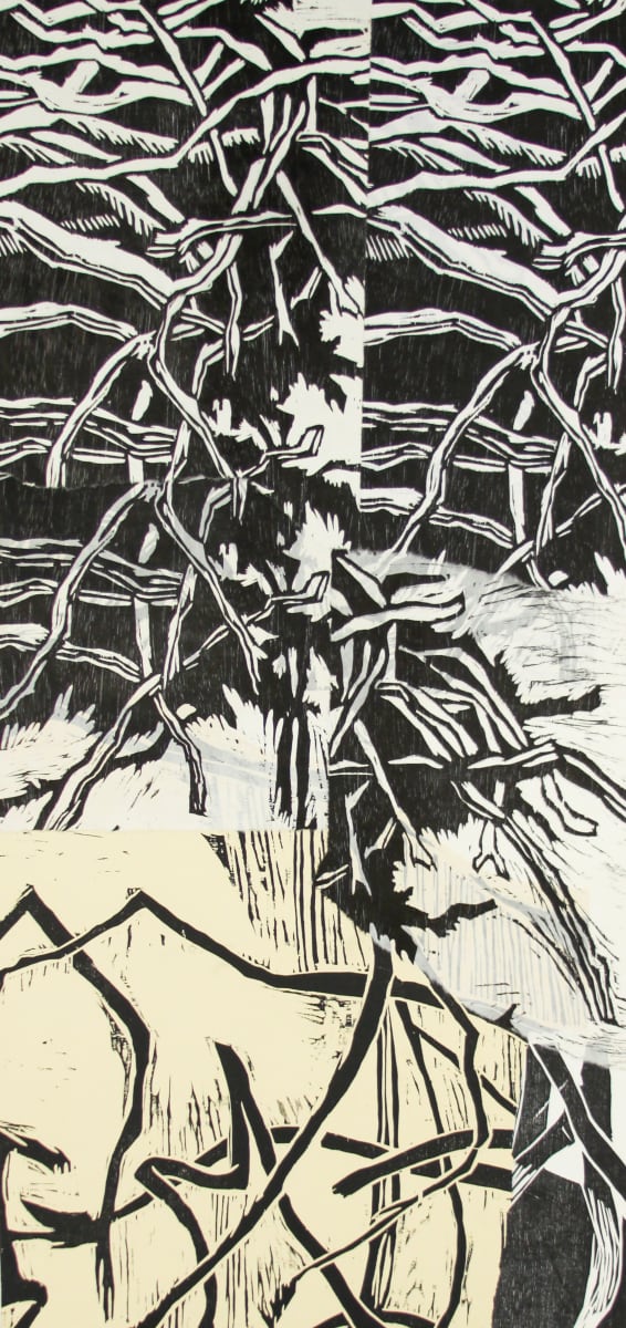 Nesting by Michael Rich, Image 3.