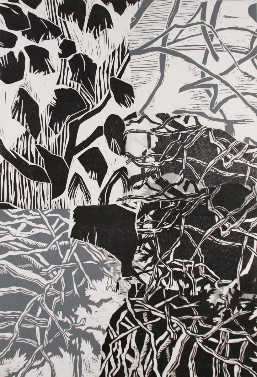 Nesting Season by Michael Rich, Image 1.