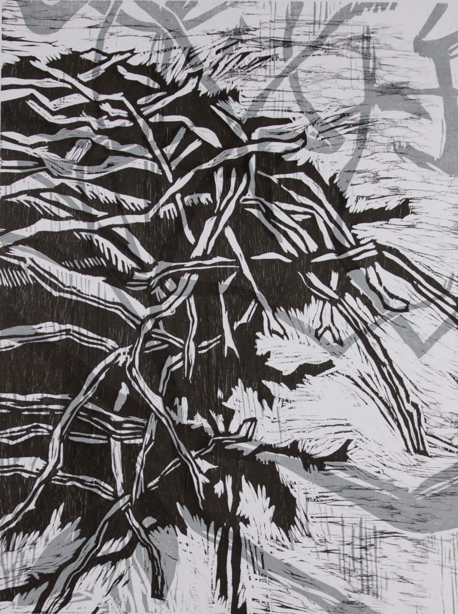 Osprey Nests II by Michael Rich  Image: Osprey Nests II, 2016, woodcut, 24 x 18 in