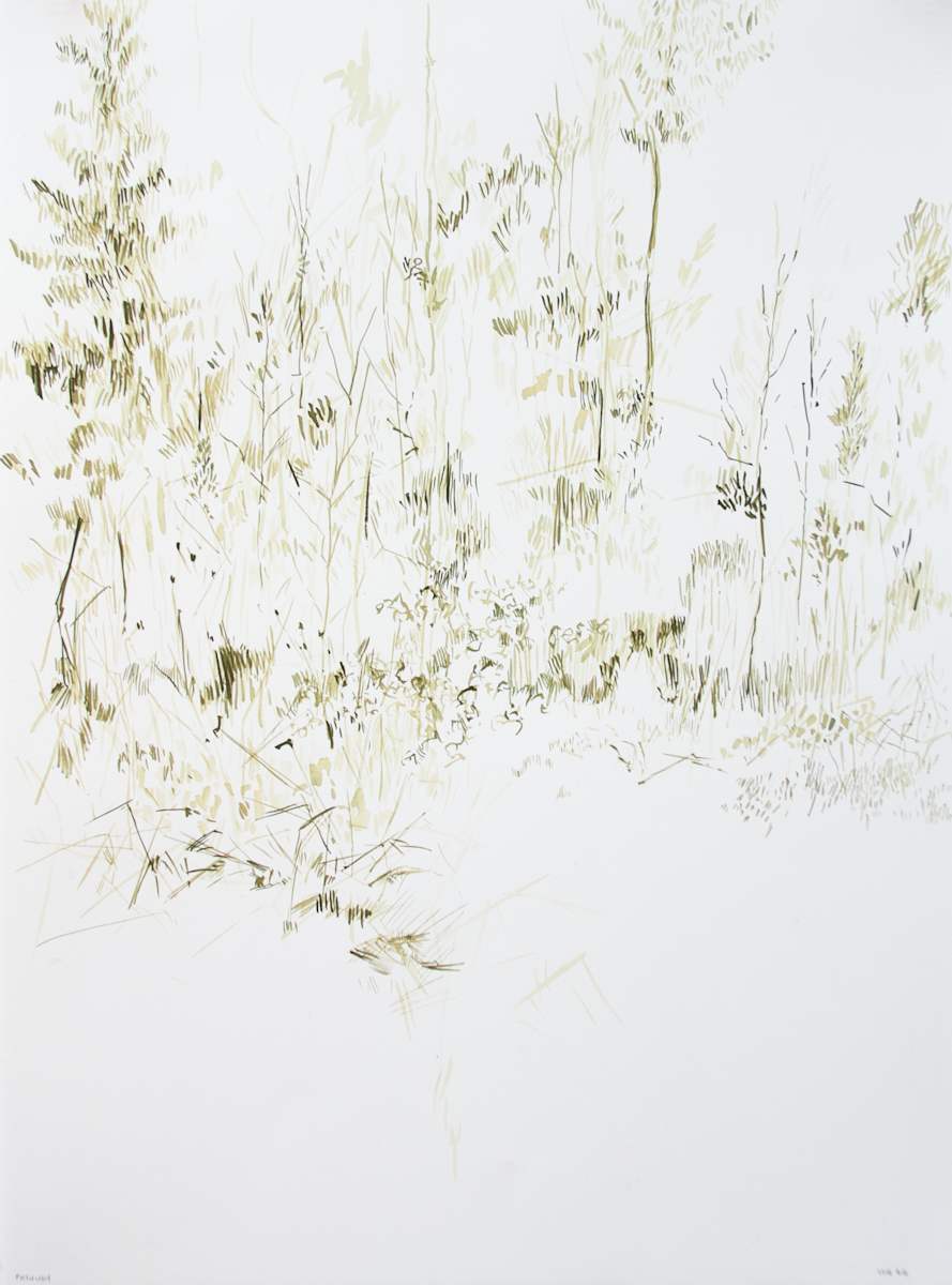 Pathway by Michael Rich, Image 2.