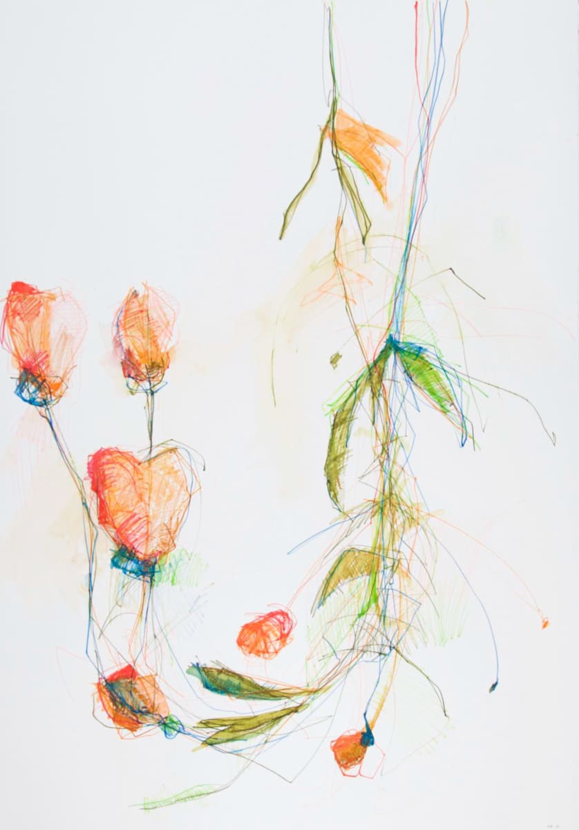 Pink Buds by Michael Rich  Image: Pink Buds, 2015, colored pencil, 39 x 28 in