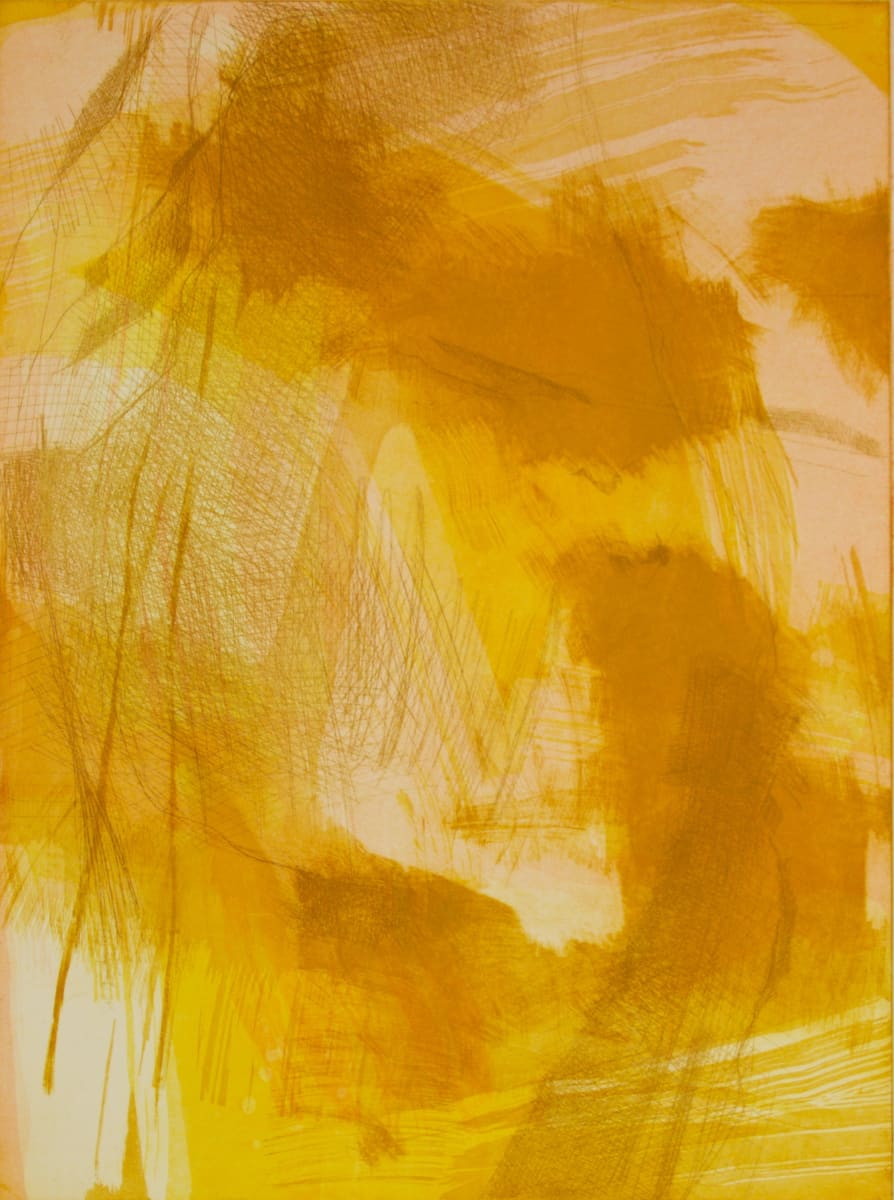 Sketches from Venice II by Michael Rich  Image: Sketches from Venice II, 2016, intaglio monoprint, 24 x 18 in