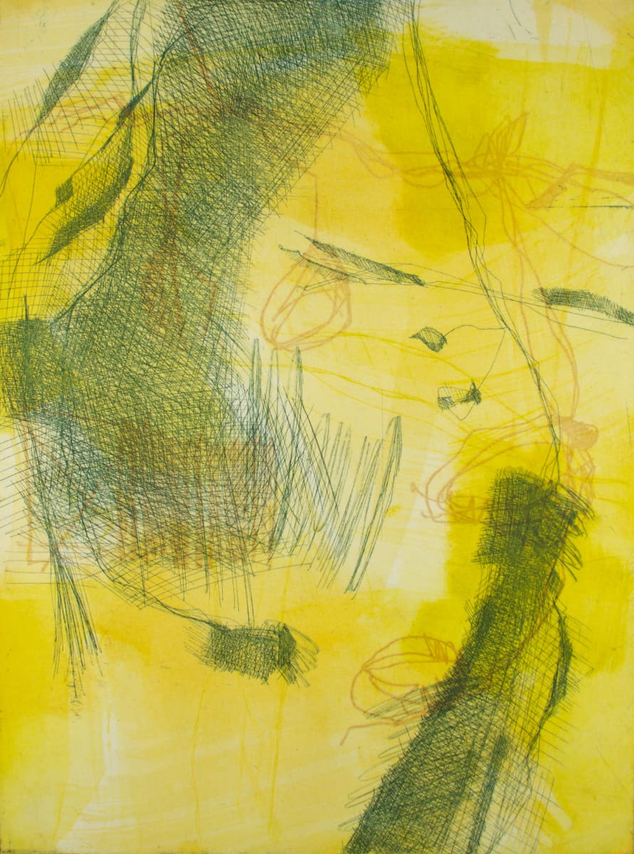Sketches from Venice XXV by Michael Rich  Image: Sketches from Venice XXV, 2016, intaglio monoprint, 24 x 18 in