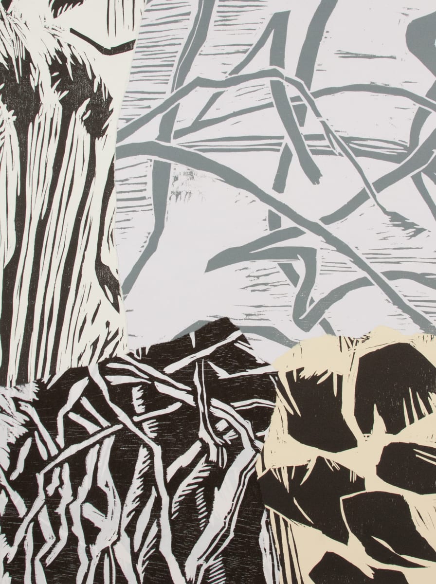 Wilder Places V by Michael Rich, Image 1.