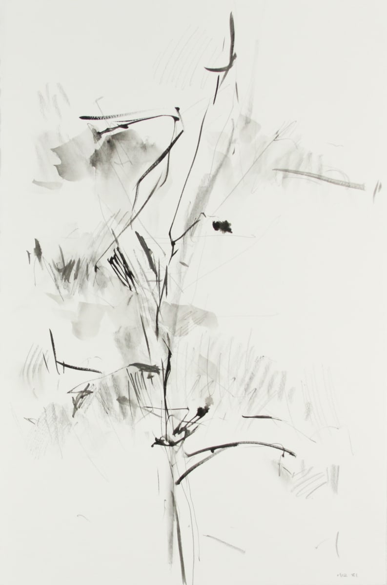 Ziggy's Tree II by Michael Rich, Image 3.