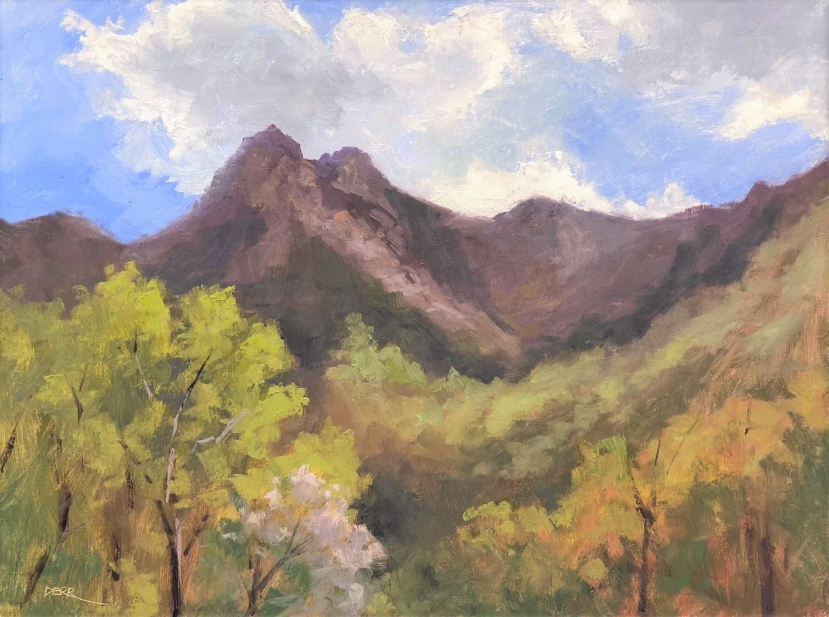 Chimney Tops 