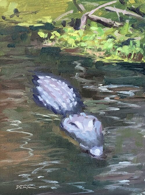 Milisa's Gator 