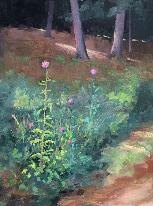 Patch of Thistle 