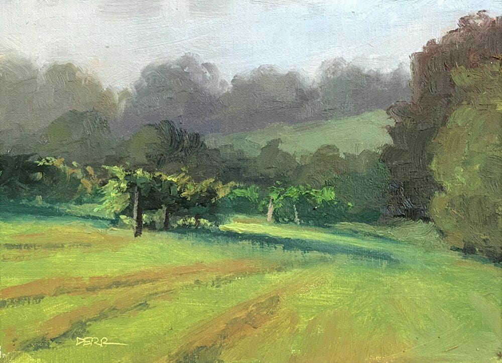 Vineyard Morning 