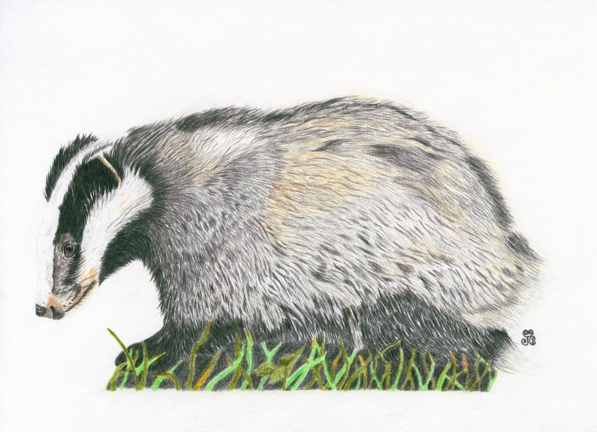 The Indomitable Badger 