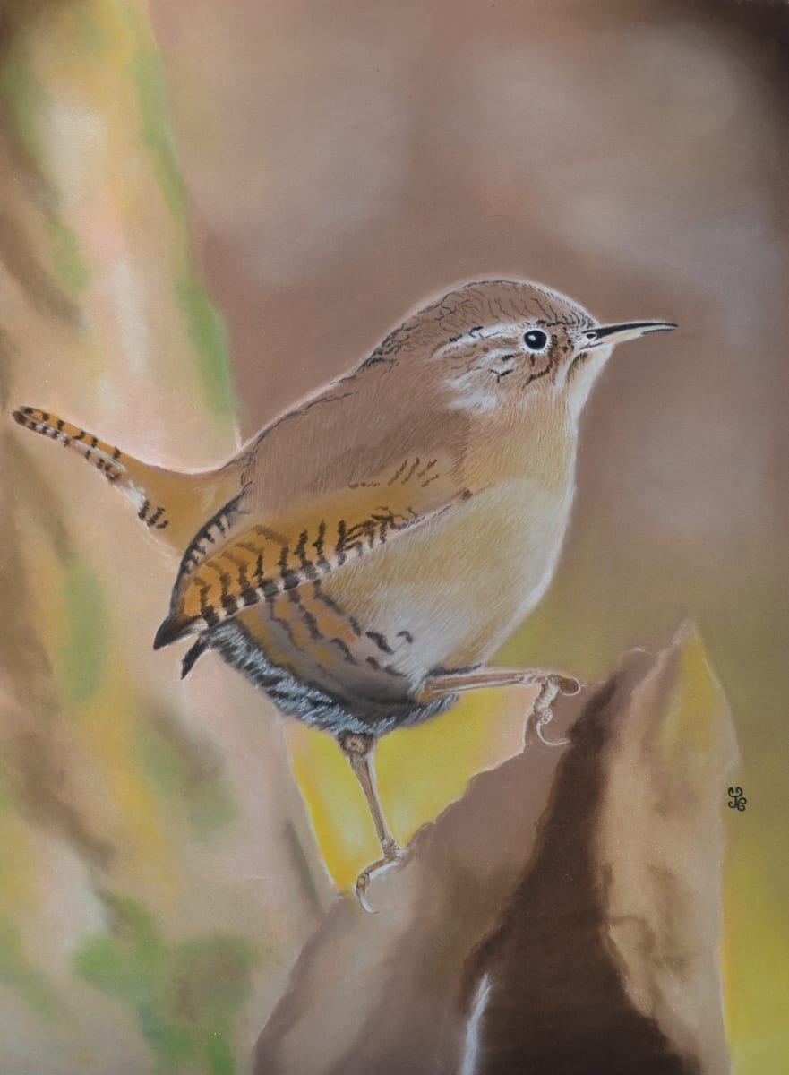 Sunrise Wren by Jules Chabeaux, Image 1.