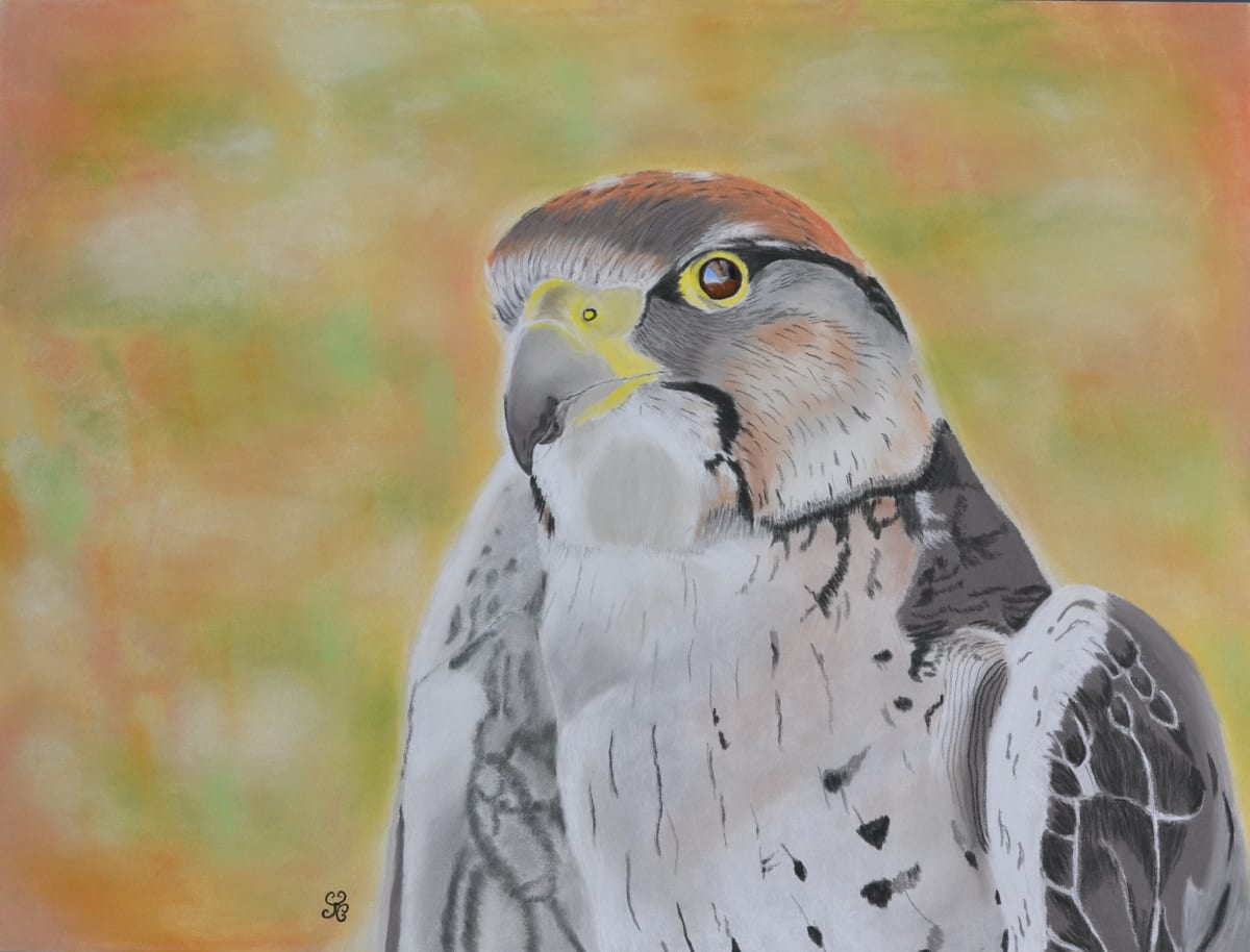 The Merlin by Jules Chabeaux 