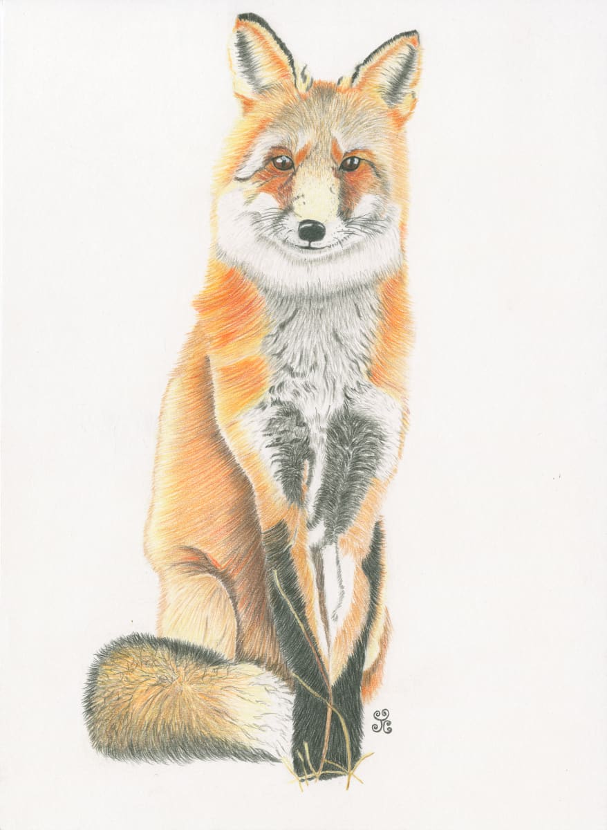The Kenning Fox 